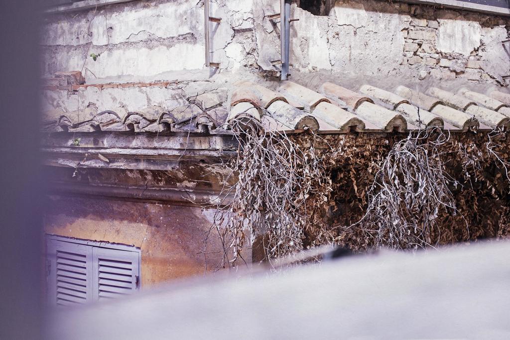 Trasteverehome - Peretti Rome Luaran gambar